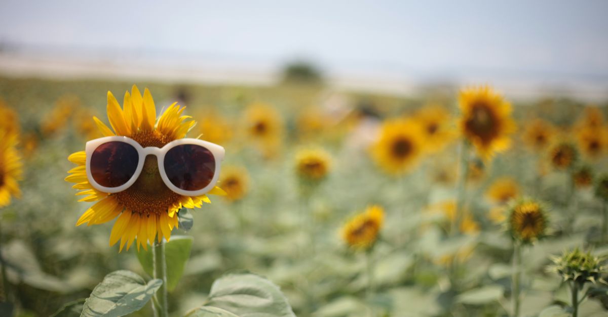 Summer PTO Requests